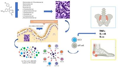 Do NSAIDs Take Us Away From Treatment Goals in Axial Spondyloarthritis: A Story About Dysbiosis or Just a Matter of Bias?